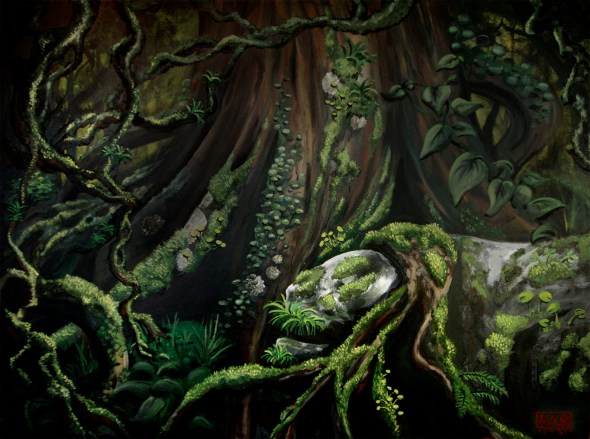 屋久島 (Yakushima)